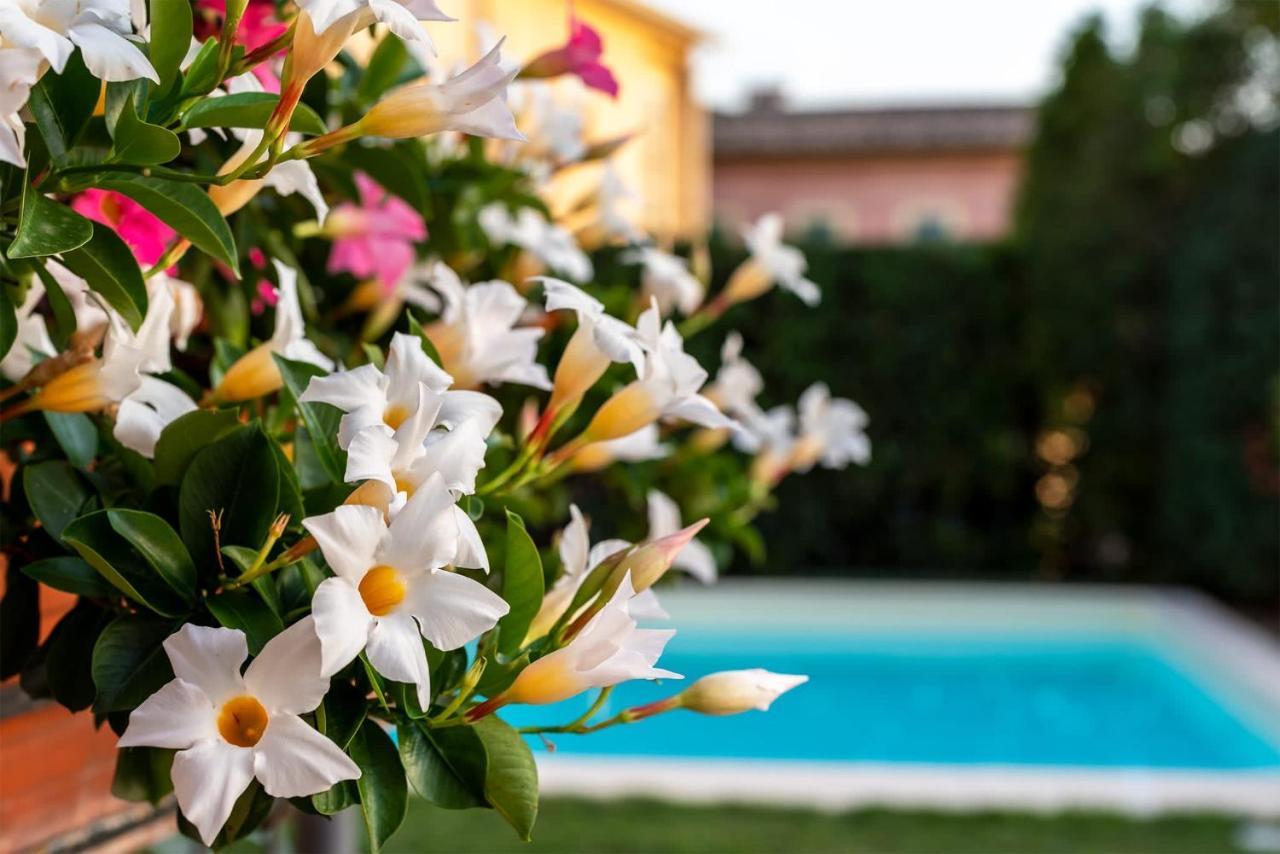 Albergo Ristorante Il Terziere Trevi Dış mekan fotoğraf
